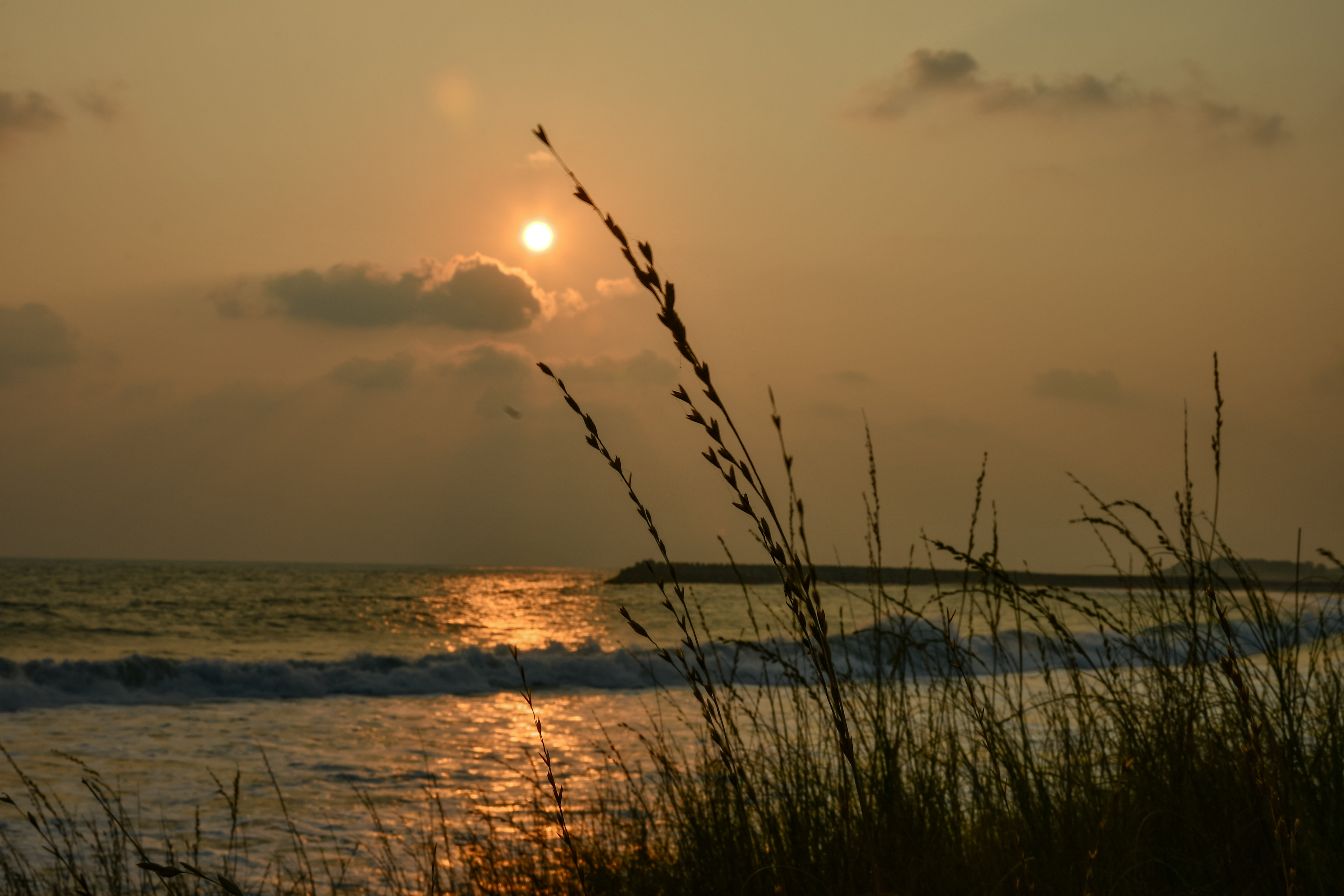 Golden Sunset Over Kanyakumari Beach with Coastal Grass