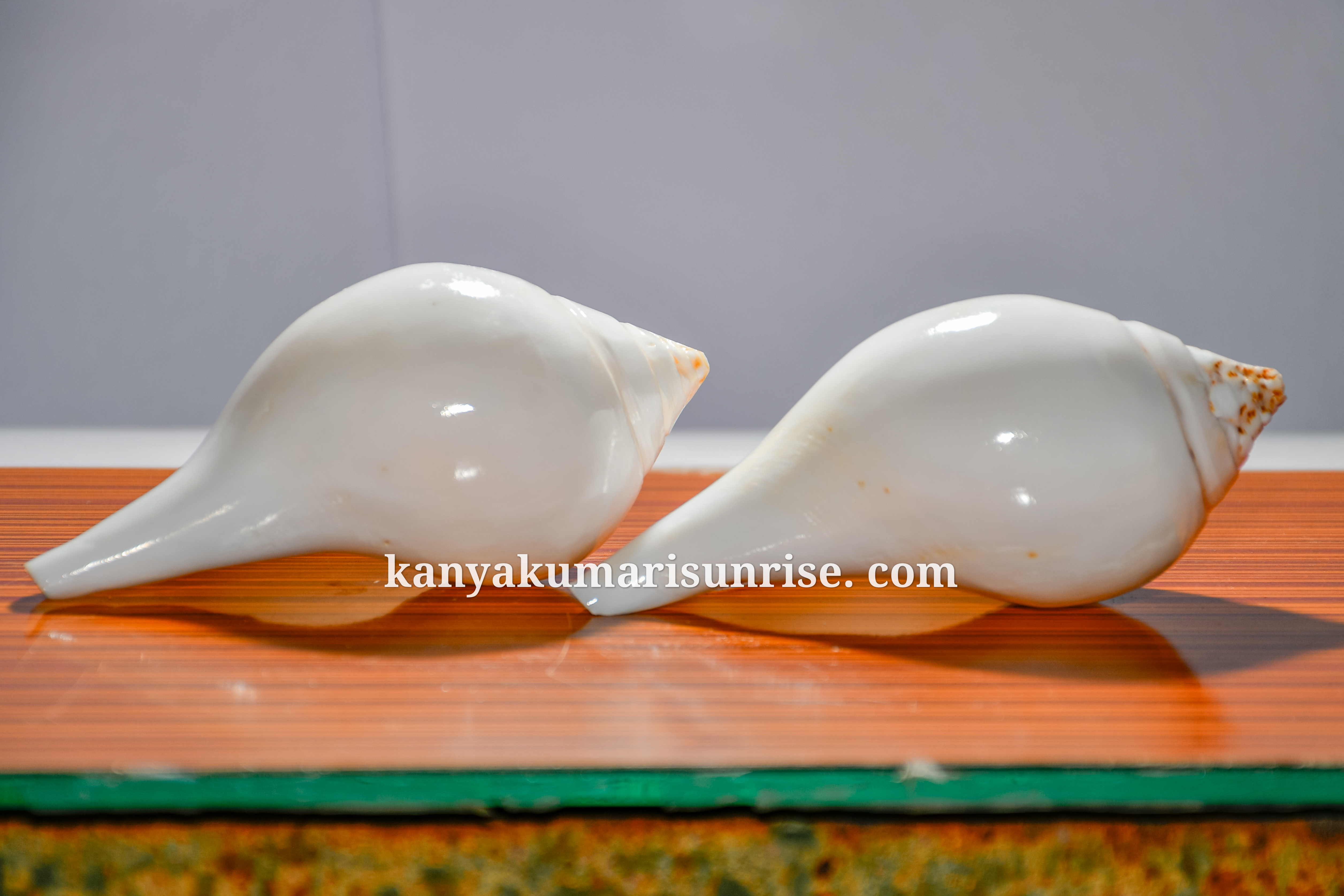 Natural White Abhishek Shankh – Sacred Hindu Puja Conch for Abhishekam and Ritual Use - Image 6