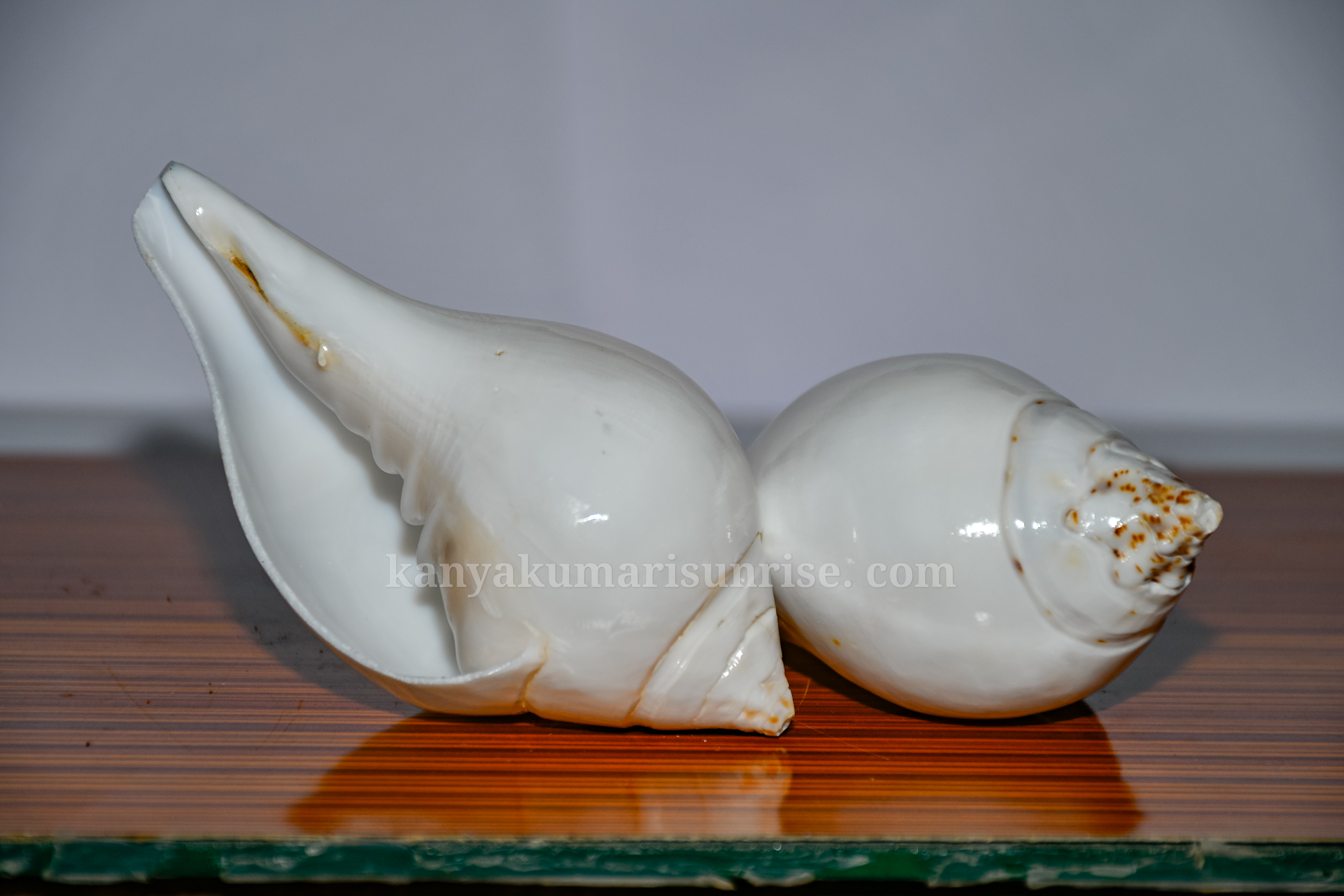 Natural White Abhishek Shankh – Sacred Hindu Puja Conch for Abhishekam and Ritual Use - Image 5